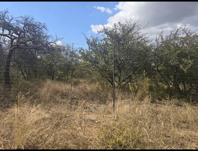 93HA FARM FOR SALE IN MOPANE